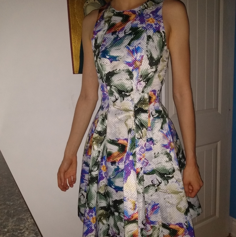 Bouffant lined Dress for cocktail